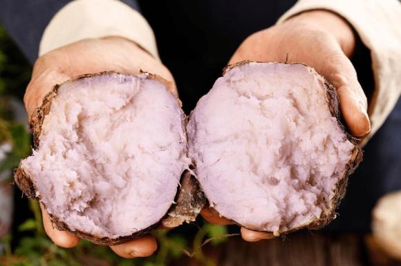 Khi mua khoai môn (khoai sọ), thật sai lầm khi cứ chọn củ to và nặng tay. Người nông dân sẽ dạy bạn cách chọn củ nào cũng thơm bở-4