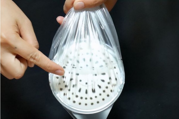 Đổ ít giấm trắng lên miếng bọt biển rồi cho vào tủ lạnh có công dụng cực mạnh, ai cũng nên biết-8