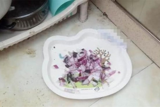 Hóa ra là loài gián sợ nhất! Đặt nó trong nhà và gián hết! Đảm bảo không còn gián trong nhà của bạn! tự nhiên, an toàn và hiệu quả