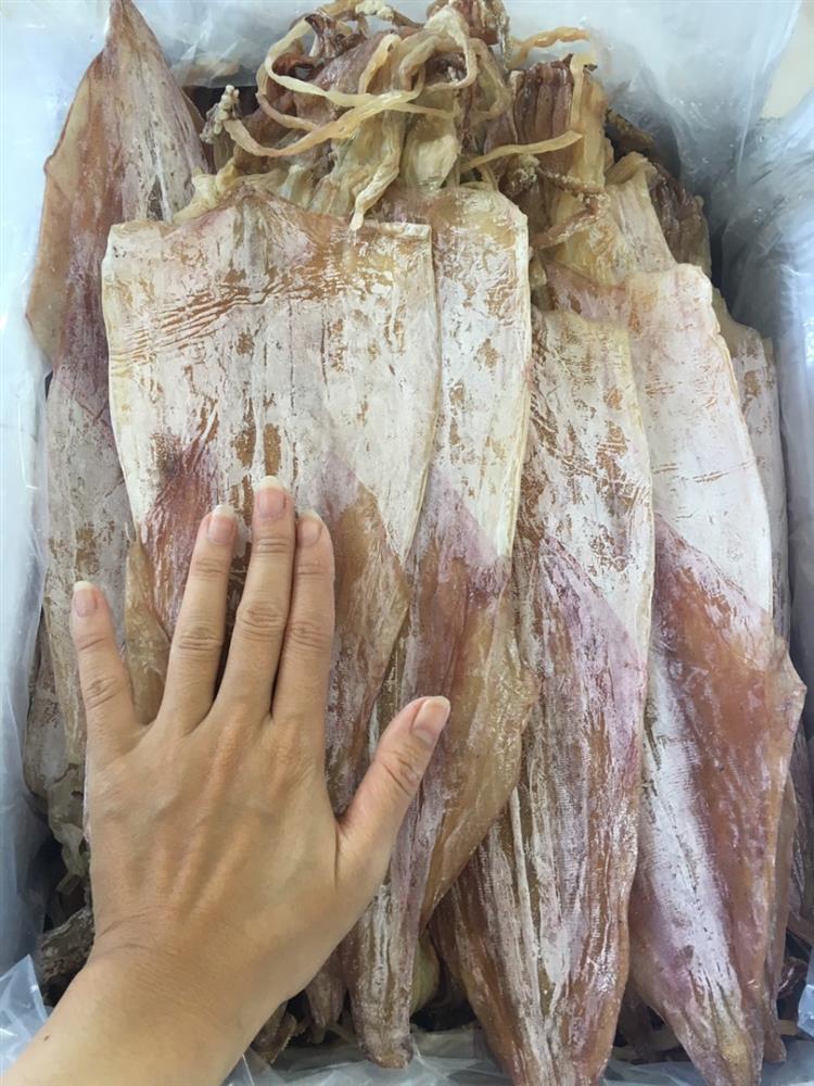 Dân biển mách: Chọn mua mực tươi cứ nhìn đúng 1 điểm, mực 10 con ngon đỉnh cả 10-3