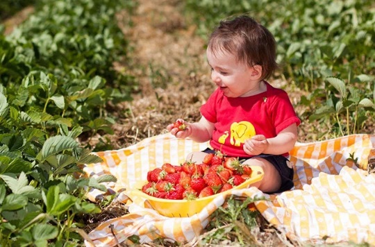 Thường xuyên đưa con đến 7 địa điểm này sẽ giúp trẻ có IQ và EQ cao ngất ngưởng, thay đổi ngoạn mục trong tương lai: Xa tận chân trời, gần ngay trước mắt-2