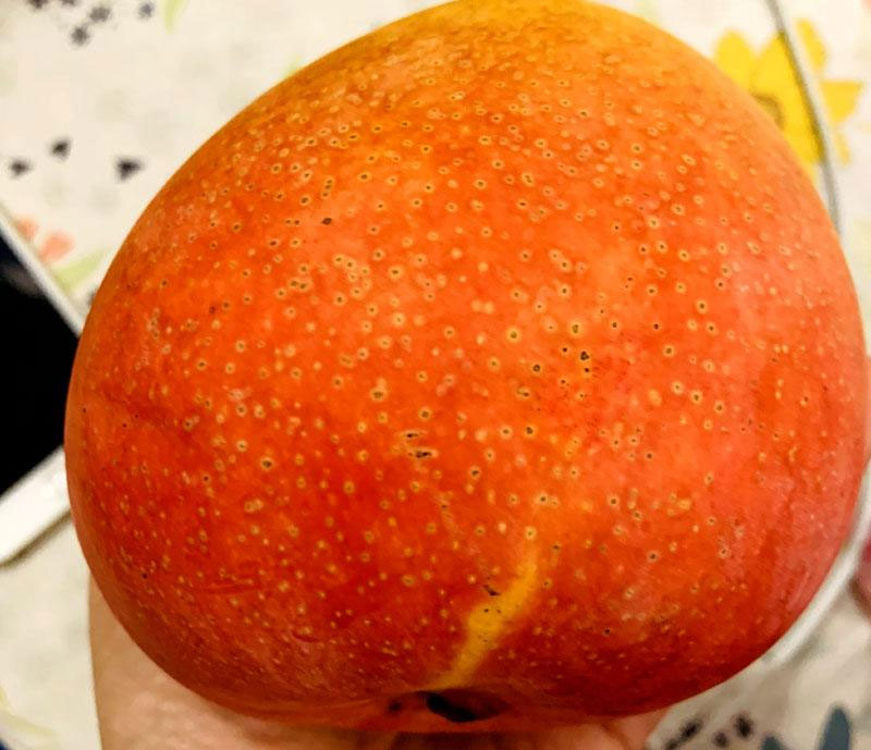 Đỏ như trứng mặt trời, xoài Úc giá rẻ bèo-1