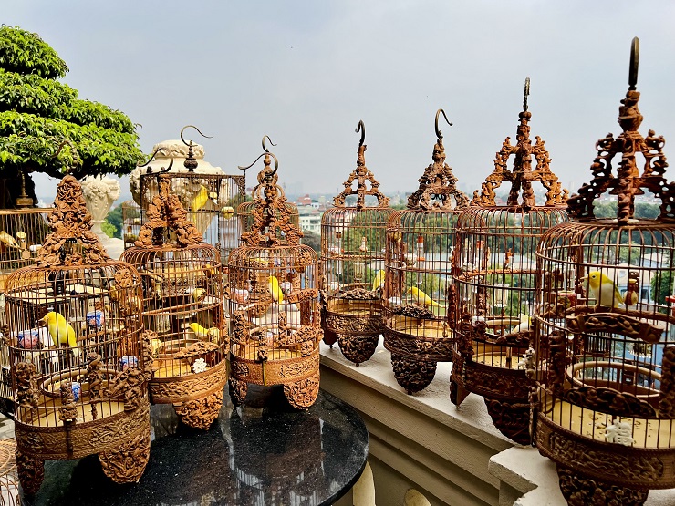 Cận cảnh tổ chim mới nở độc nhất Việt Nam” được mua với giá gần nửa tỷ đồng-12