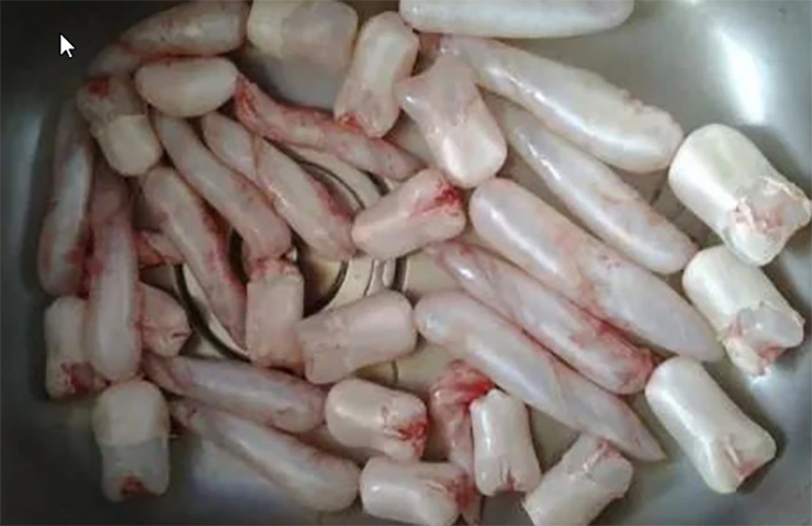 Thứ này trong bụng con cá nhiều người vứt đi, ngờ đâu sánh ngang tổ yến, giá vô cùng đắt đỏ-4