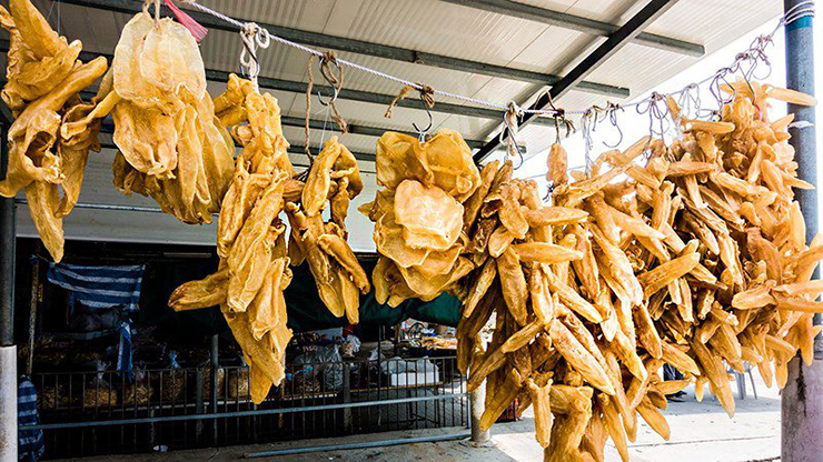 Thứ này trong bụng con cá nhiều người vứt đi, ngờ đâu sánh ngang tổ yến, giá vô cùng đắt đỏ-8