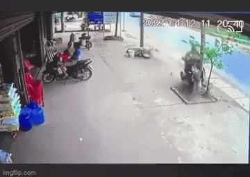 Clip: Bàng hoàng khoảnh khắc nam thanh niên mất tay lái, đâm gãy đôi cây xanh bên lề đường-1