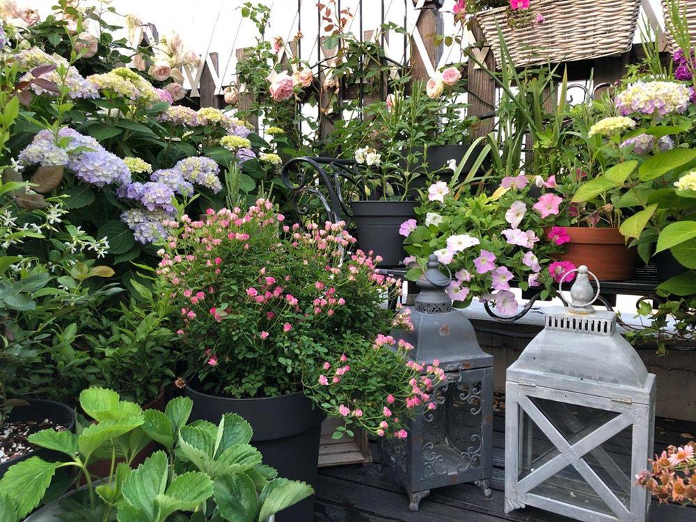 Khu vườn sân thượng chỉ rộng vỏn vẹn 13m² mà góc nào góc nấy đẹp mê-3