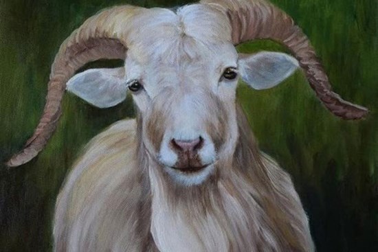 Thần Tài ban lộc, 3 con giáp vận khí hanh thông, tiền tài lộc phát, cuộc sống thăng hoa trong 45 ngày tới