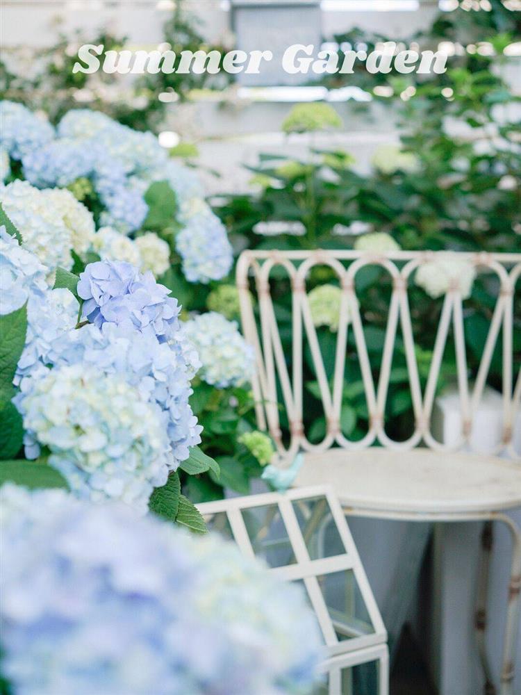 Khu vườn sân thượng chỉ rộng 20m² nhưng khiến chị em thành phố đỏ mắt ghen tị” bởi khung cảnh quá đỗi bình yên, thơ mộng-11