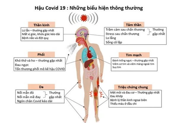 Hạ canxi máu khi vừa khỏi COVID-19, người phụ nữ đột ngột lơ mơ, co quắp tay chân, da tím tái-2