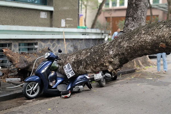 Cảnh tượng đáng báo động ở Đà Lạt sau cơn mưa lớn đầu mùa: Nước cuốn như lũ, có cả mưa đá bể trời!-7