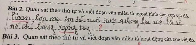 Học sinh viết câu văn miêu tả CON LỢN, đọc đến hai từ cuối mà cô giáo cười nhức cả đầu: Trời, con lợn này chắc ĐỘT BIẾN-1