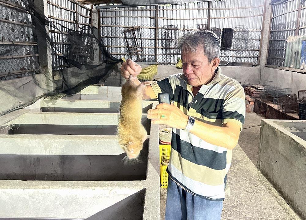Nuôi loài răng sắc nhọn thích ăn mía, ẩn trong hang, lão nông Cần Thơ thành tỷ phú-1