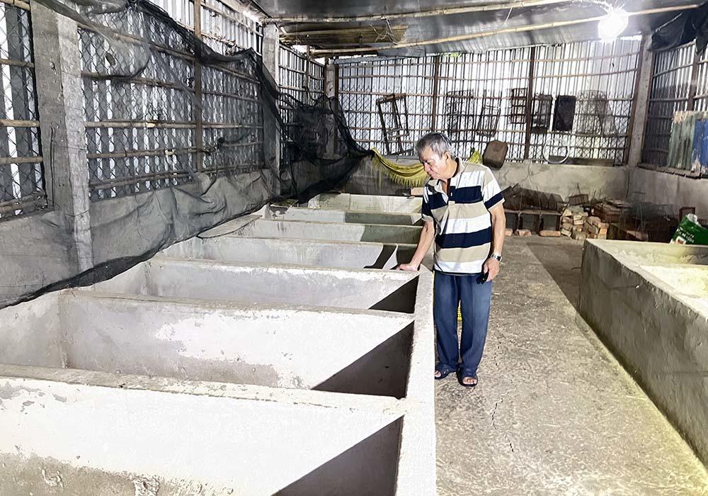 Nuôi loài răng sắc nhọn thích ăn mía, ẩn trong hang, lão nông Cần Thơ thành tỷ phú-6