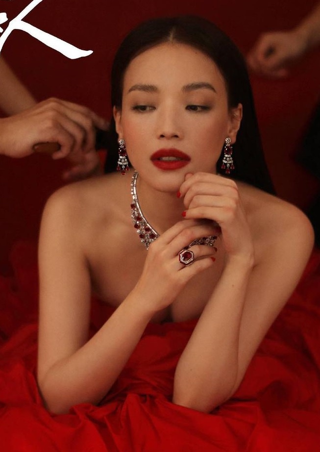 Cuộc sống của Thư Kỳ ở tuổi 46-1