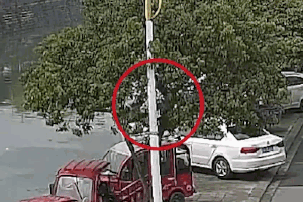 Người qua đường dũng cảm lao xuống sông cứu 3 người mắc kẹt trong xe ô tô