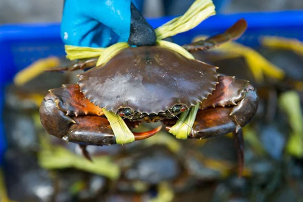 Những sai lầm mà nhiều người thường mắc phải trong nhà vệ sinh, đã đến lúc phải thay đổi-5