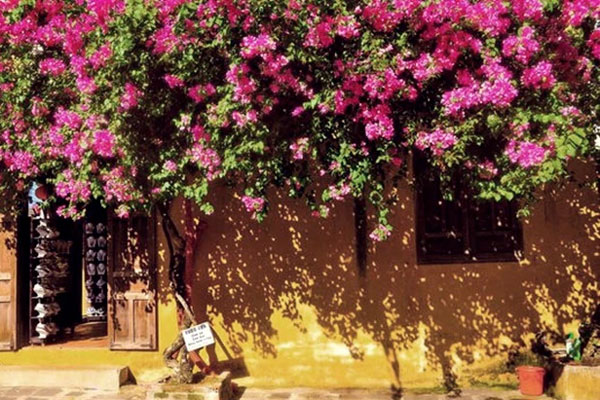 Tôi cho em chồng vay tất cả số tiền tiết kiệm để mua nhà, 7 năm sau, tôi choáng váng với hành động của em-2