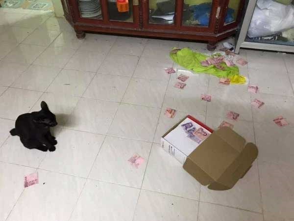 Chồng giấu quỹ đen trong ô tô, 1 thời gian sau mở ra kiểm tra thì khóc không thành tiếng-4