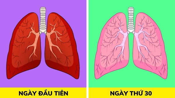 8 cách thải độc phổi tự nhiên, F0 khỏi bệnh cũng nên áp dụng để cải thiện sức khoẻ-1