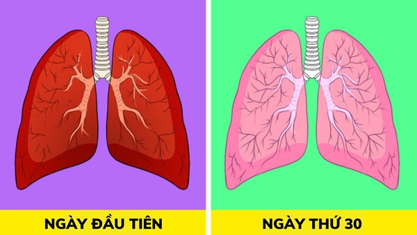 8 cách thải độc phổi tự nhiên, F0 khỏi bệnh cũng nên áp dụng để cải thiện sức khoẻ-1