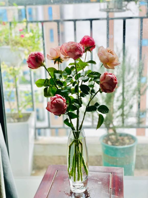 Hé lộ không gian sống tràn ngập hoa tươi của MC Diễm Quỳnh-1