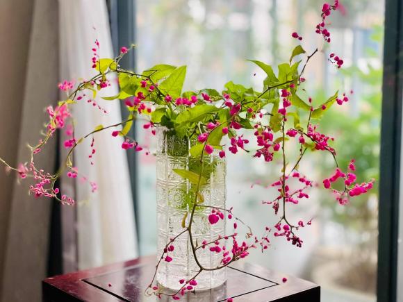Hé lộ không gian sống tràn ngập hoa tươi của MC Diễm Quỳnh-6