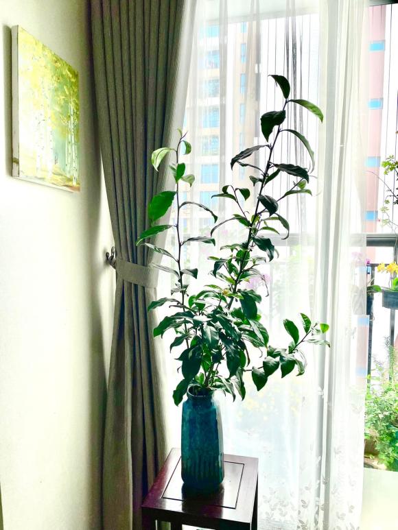 Hé lộ không gian sống tràn ngập hoa tươi của MC Diễm Quỳnh-12