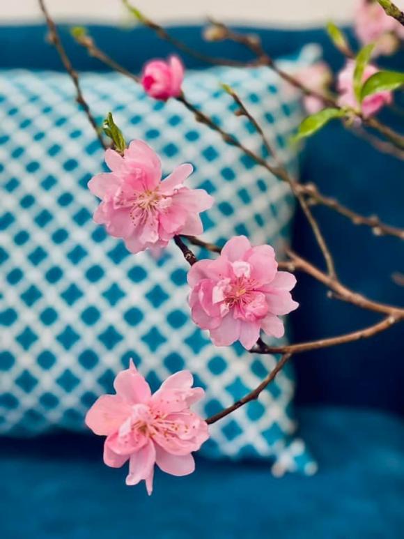 Hé lộ không gian sống tràn ngập hoa tươi của MC Diễm Quỳnh-14