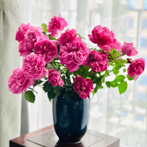 Hé lộ không gian sống tràn ngập hoa tươi của MC Diễm Quỳnh-16