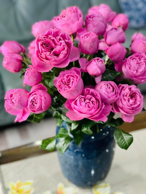 Hé lộ không gian sống tràn ngập hoa tươi của MC Diễm Quỳnh-18