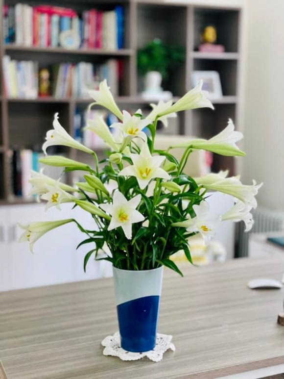 Hé lộ không gian sống tràn ngập hoa tươi của MC Diễm Quỳnh-19