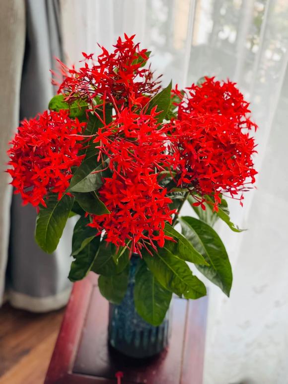 Hé lộ không gian sống tràn ngập hoa tươi của MC Diễm Quỳnh-20