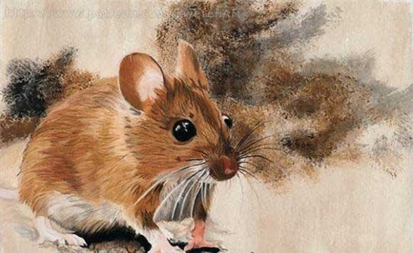 Bước sang tháng 5 âm lịch, top 3 con giáp tiền tài rủng rỉnh, tấn tài tấn lộc, tài lộc vun vút, vạn sự như ý-1