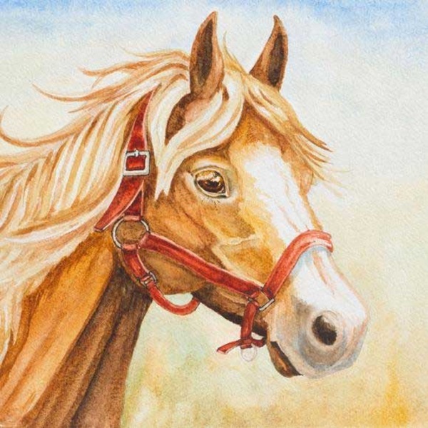 Bước sang tháng 5 âm lịch, top 3 con giáp tiền tài rủng rỉnh, tấn tài tấn lộc, tài lộc vun vút, vạn sự như ý-3