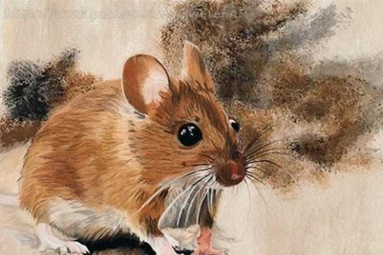 Bước sang tháng 5 âm lịch, top 3 con giáp tiền tài rủng rỉnh, tấn tài tấn lộc, tài lộc vun vút, vạn sự như ý