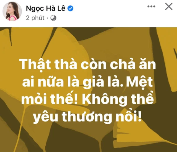 Bà xã Công Lý bất ngờ đăng đàn ẩn ý: Có những con người ác thật sự và quá tồi tệ-2