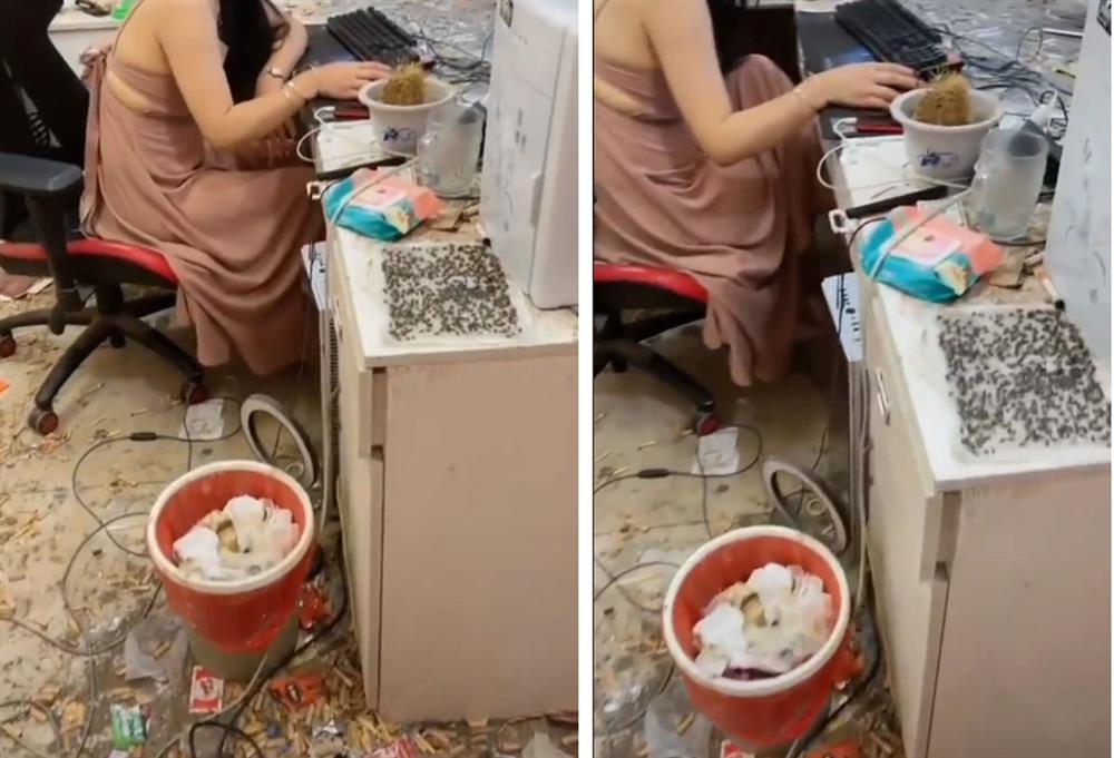 Xôn xao cảnh tượng cô gái ngồi livestream trong căn phòng bẩn kinh hoàng: Idol nhà ai xin vào nhận giúp”-2