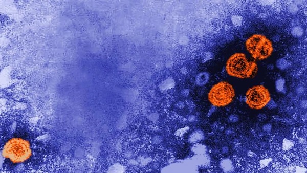 Virus bí ẩn gây viêm gan ở trẻ em lan ra nhiều nước-2