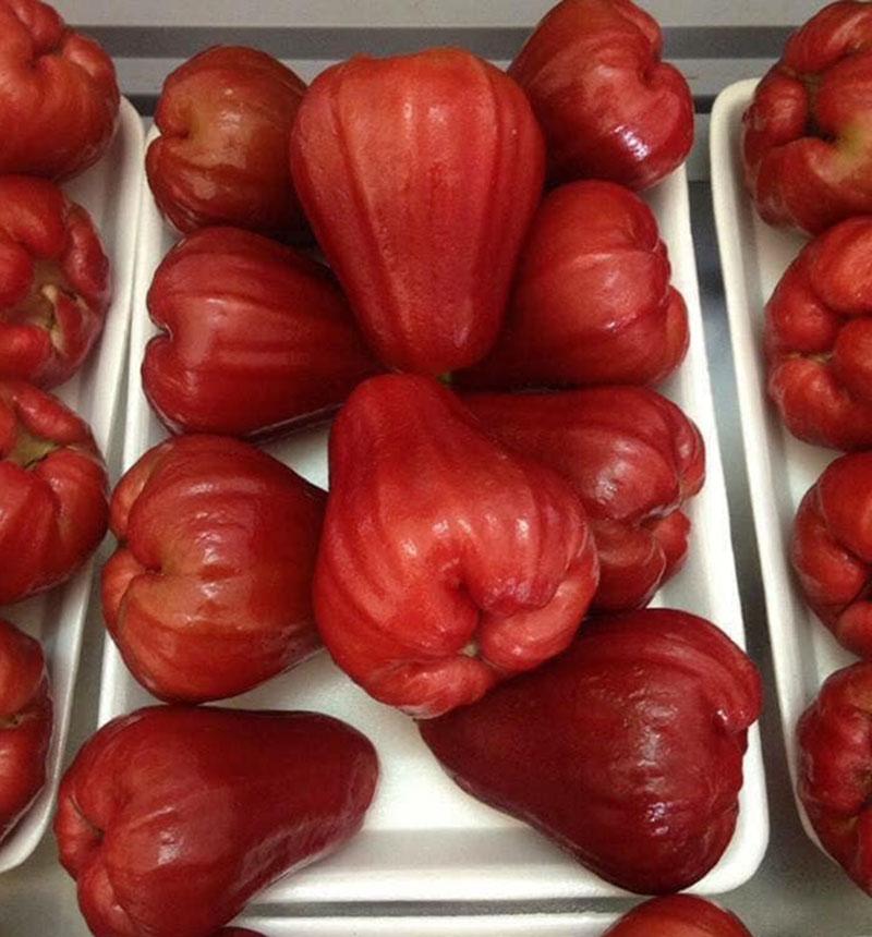 Đặc sản roi đỏ An Phước mất giá 5 lần, rẻ chưa từng có-1