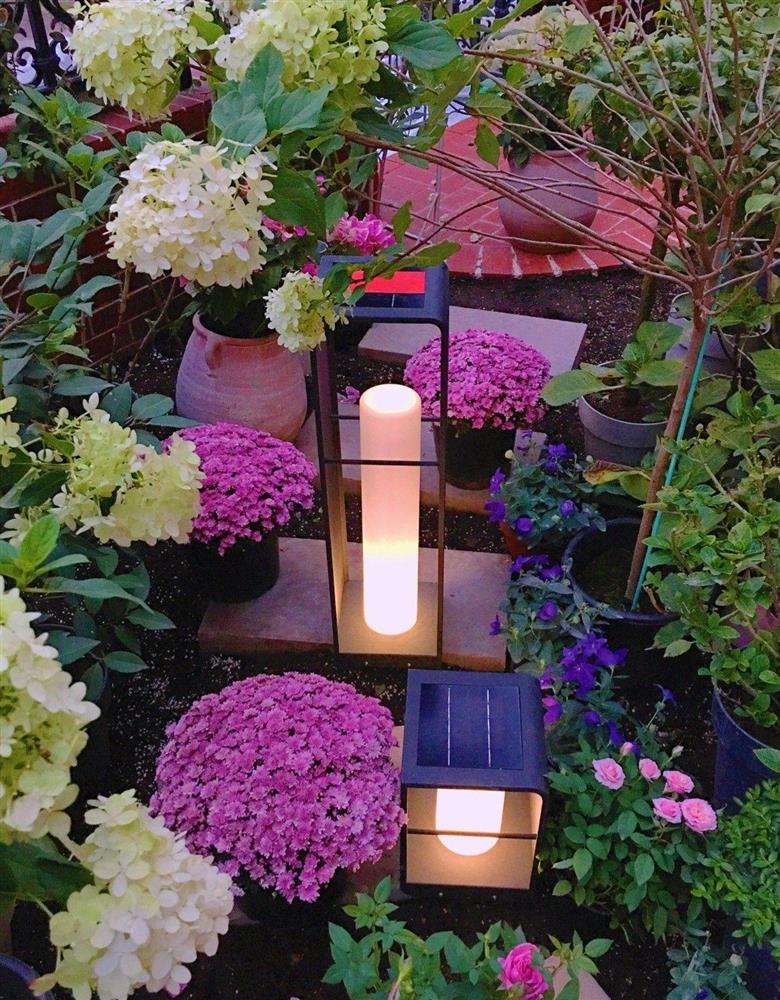 Bà mẹ nội trợ mạnh tay chi 70 triệu cải tạo khu vườn 50m² trước nhà và thành quả không thể mỹ mãn hơn-15