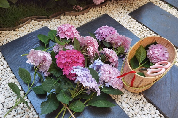 Những thiết kế vườn trên sân thượng vừa đẹp, vừa dễ làm, rất phù hợp với nhà phố-10