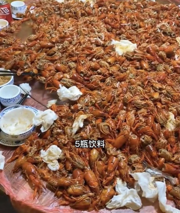 5 vị khách ăn tôm hùm đất ở nhà hàng buffet, chủ vào dọn mới tá hỏa với cảnh tượng trên bàn, ai nhìn cũng hãi hùng bỏ chạy-3