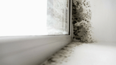 Tủ lạnh dù to cỡ nào cũng đừng nhét túi ni lông trực tiếp vào, làm theo cách này sẽ khoa học và an toàn hơn-8