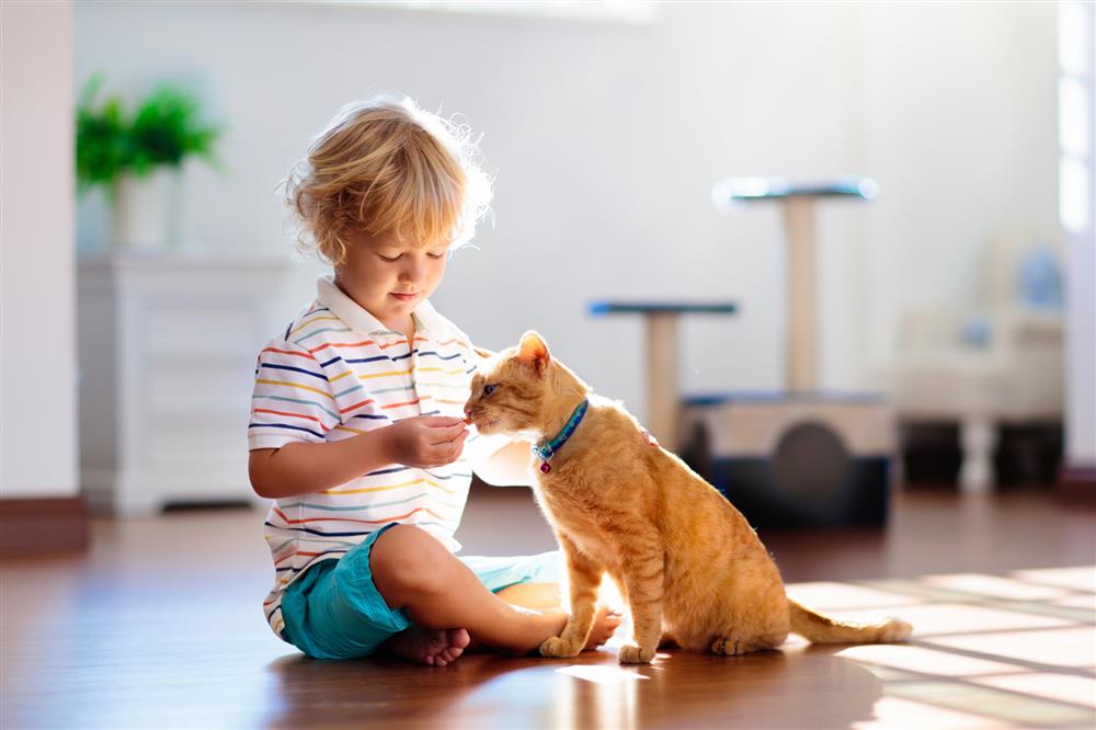 Những cách dạy trẻ học về các con vật hiệu quả, bé vừa tiếp thu nhanh vừa kích thích trí não-1