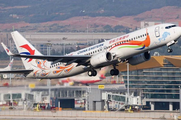 Vụ máy bay chở 132 người rơi ở Trung Quốc: Công bố kết quả điều tra sơ bộ, xác định thời điểm xảy ra tai nạn thương tâm-1