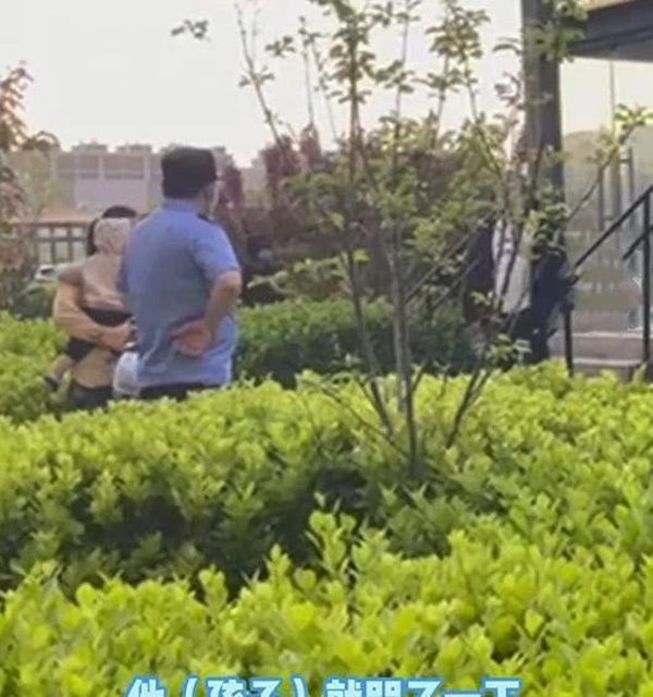 Ông bố ném chết chó vì vồ ngã con trai, chủ nhân gào khóc đòi bồi thường và nói 1 câu khiến ai cũng chưng hửng-2