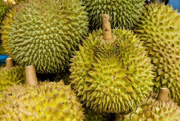 Khi mua sầu riêng, hãy ghi nhớ 4 kỹ năng này, múi không bị lép và nhiều thịt, chọn một quả bóc ra tưởng hai-1