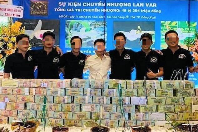 Lan đột biến hết thời tiền tỷ, tụt dốc rẻ hơn... rau muống-3