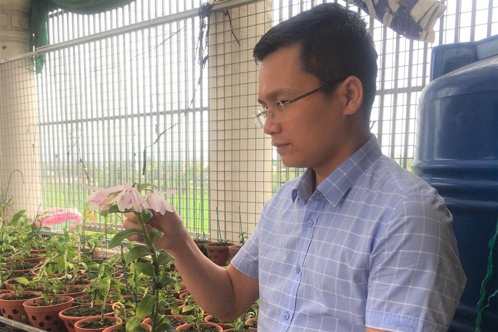 Lan đột biến hết thời tiền tỷ, tụt dốc rẻ hơn... rau muống-6